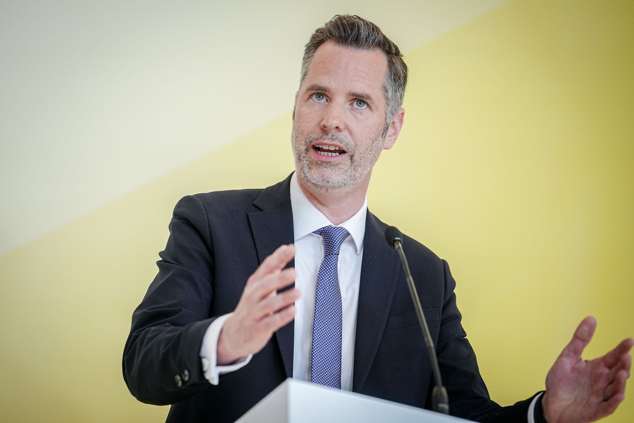 FDP: Heizen mit Holz auch in Neubauten erlauben