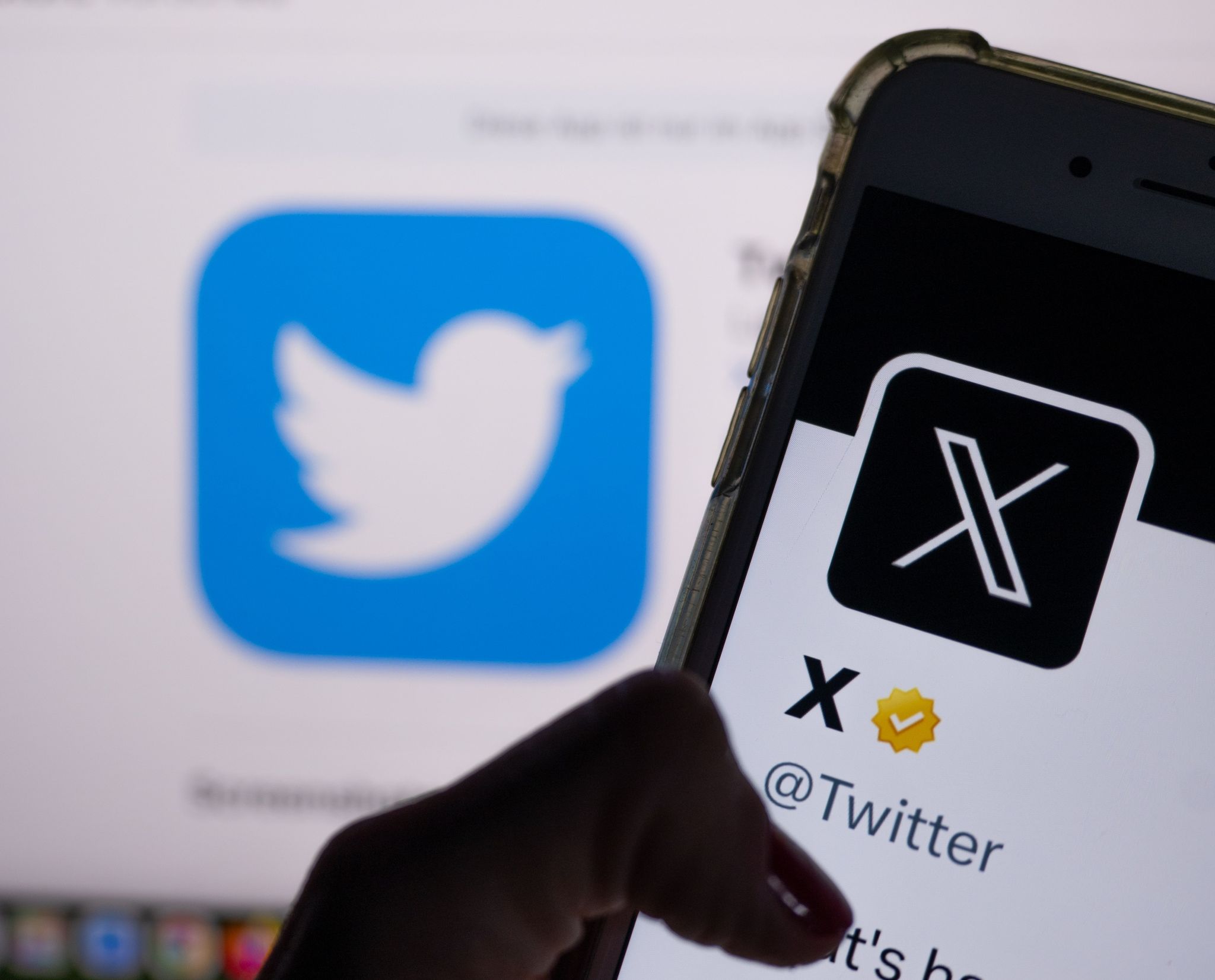 Der Vogel ist fort: Musk will Twitter in X umbenennen