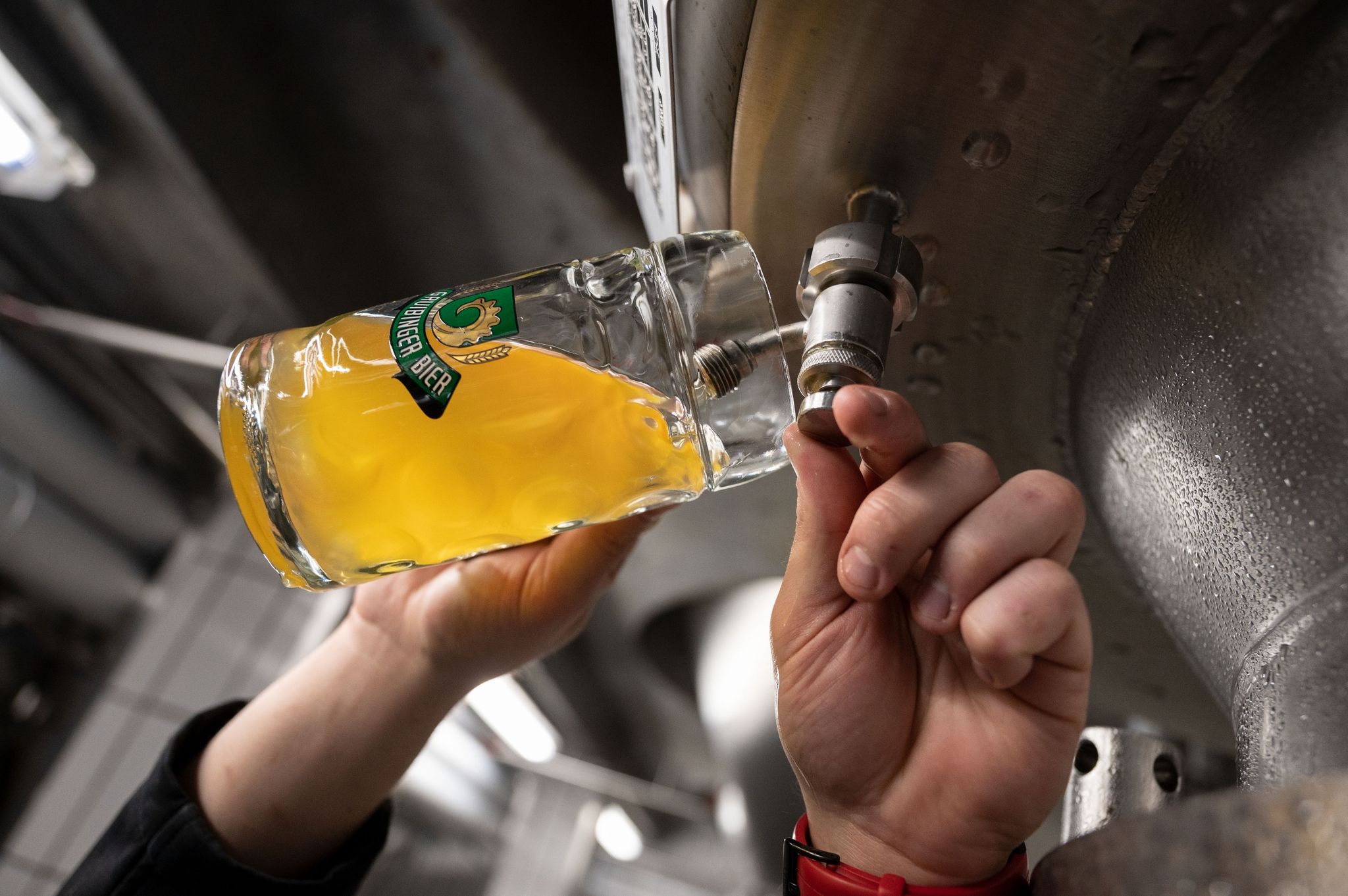 Weltbierproduktion steigt – Hopfenernte bricht ein
