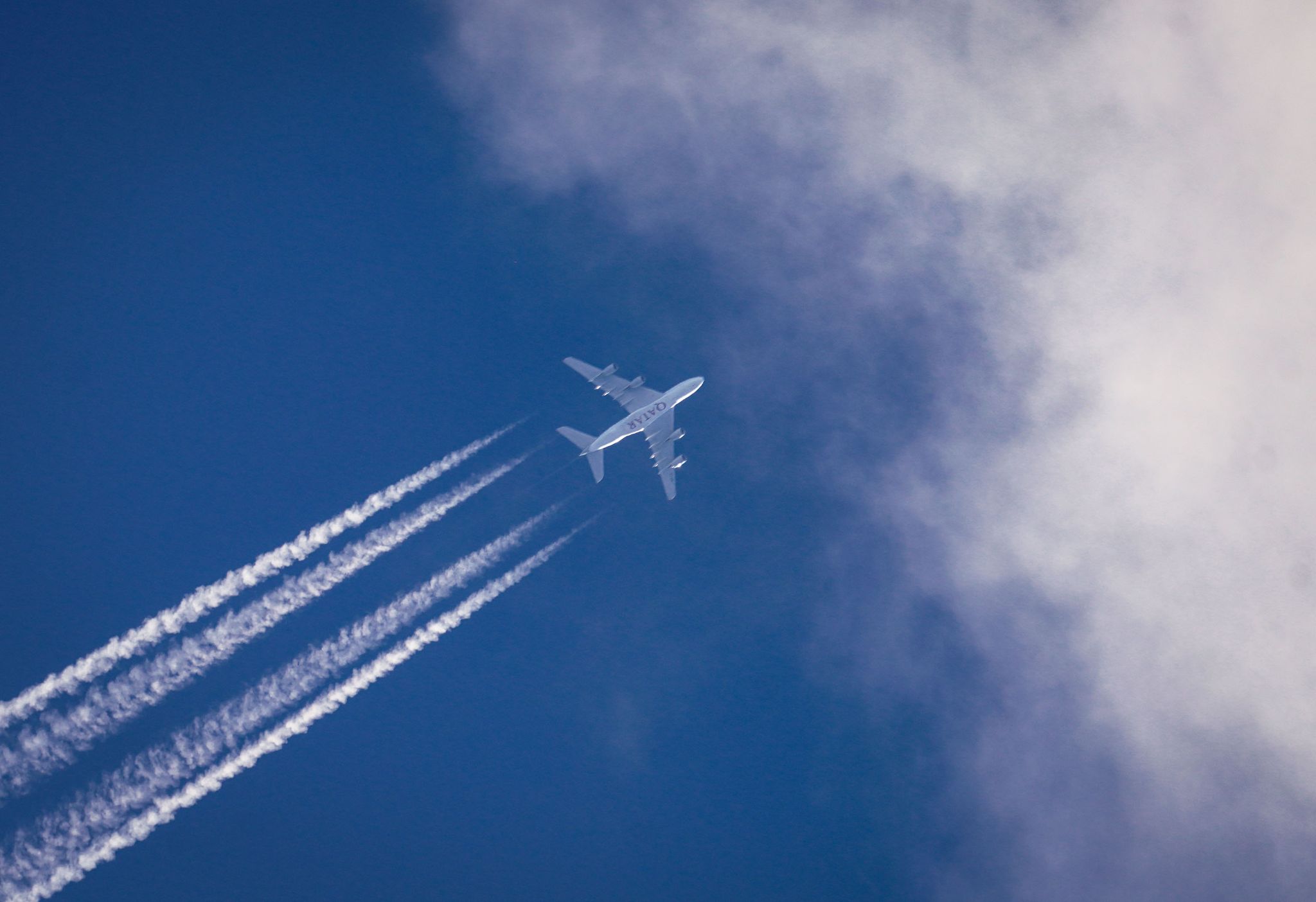 EU will 70 Prozent grüne Treibstoffe für Flugzeuge bis 2050