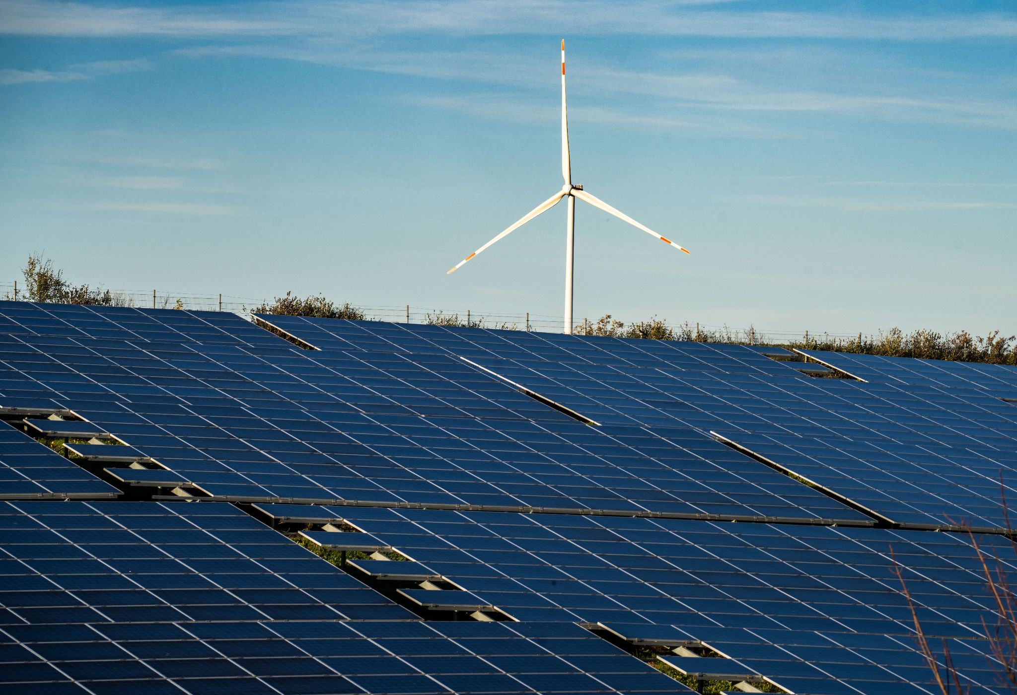 Erneuerbare Energien decken Hälfte des Stromverbrauchs