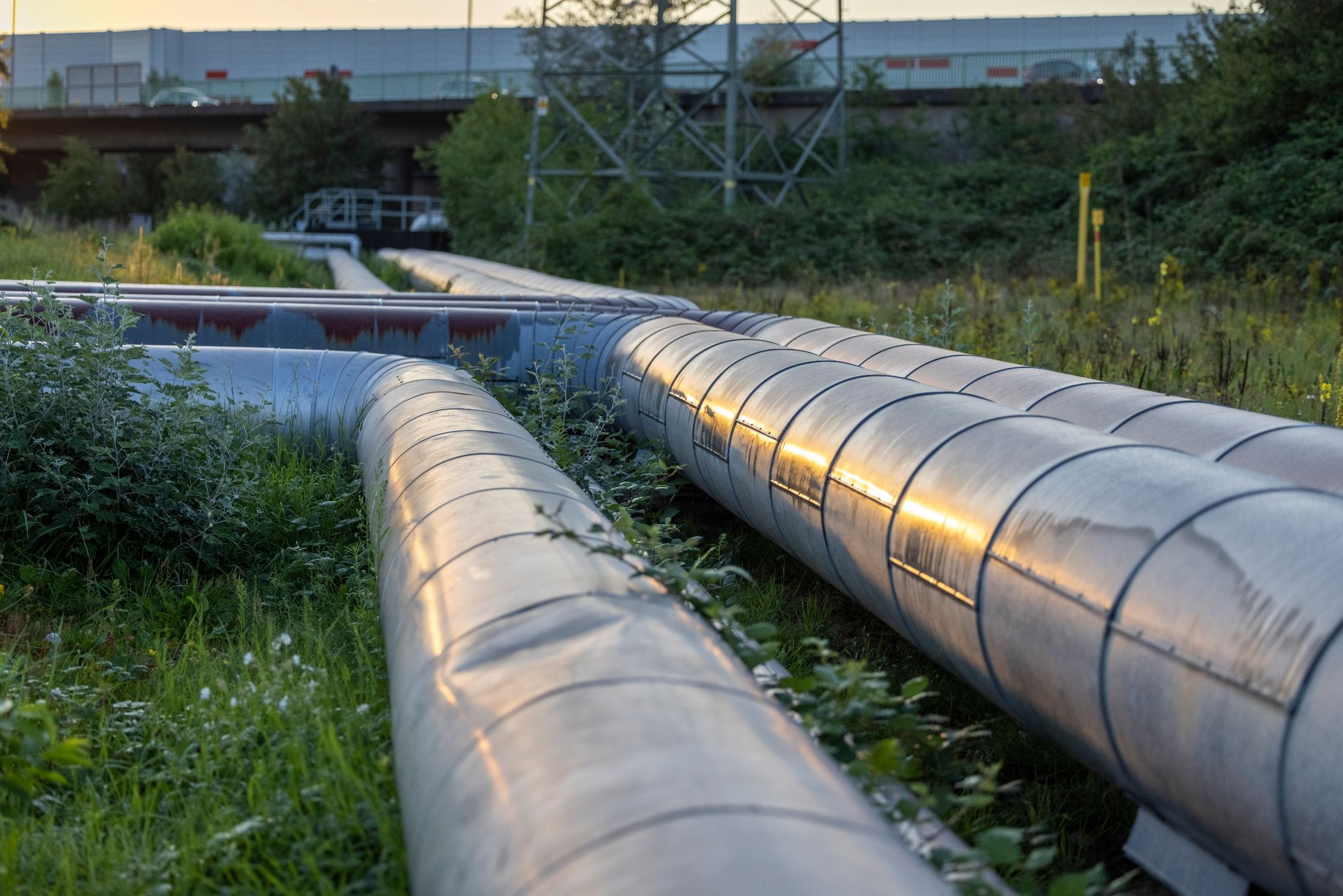 Verbraucherzentrale verklagt Eon und Hansewerk Natur