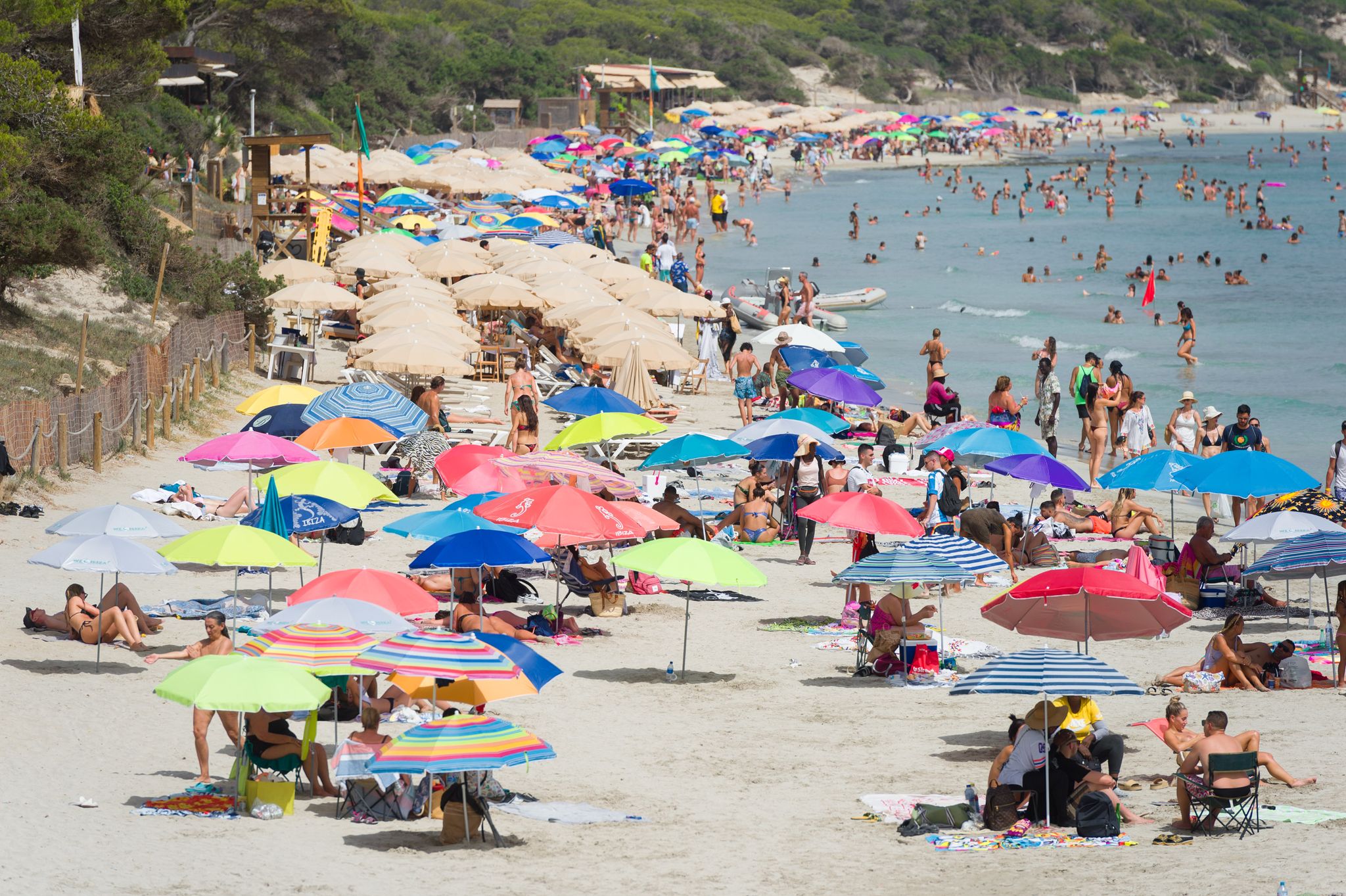 Reisebranche erwartet Umsatzplus – Mehr Buchungen für Sommer