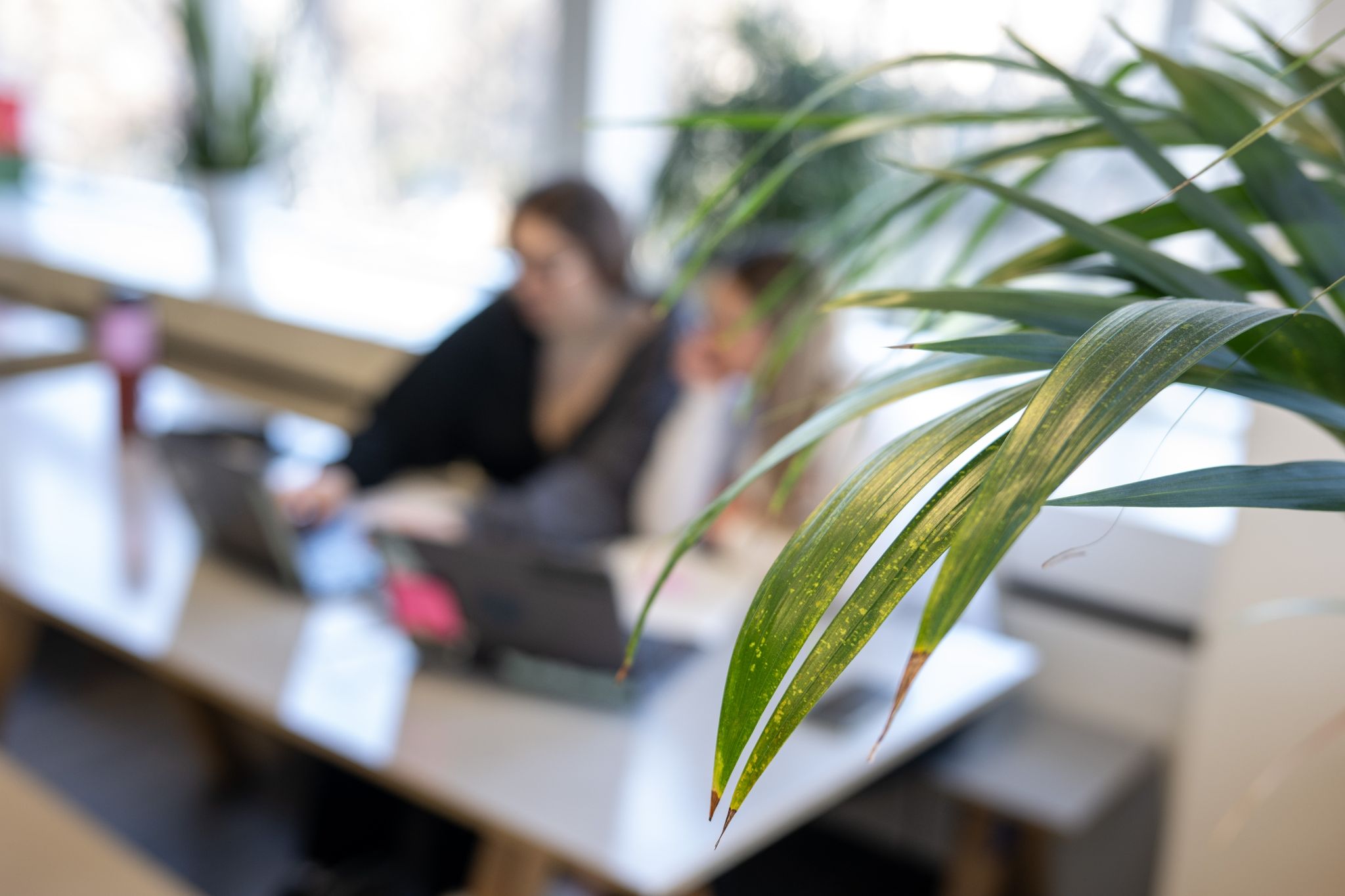 Deutschland auf Platz fünf der beliebtesten Arbeitsstandorte